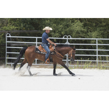 Sella Westride by Franck Perret Aurora Nocciola Marrone