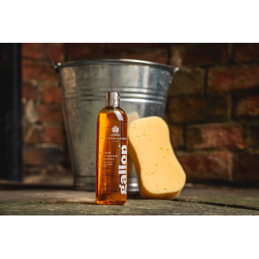 Shampoo Gallop® Carr & Day & Martin per nocciola e palomino