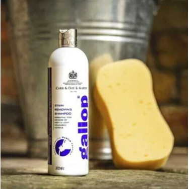 Shampoo rimuovi-macchie Gallop® Carr & Day & Martin