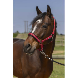 Capezza Norton 4lines Rosso Capezza Norton 4lines Rosso