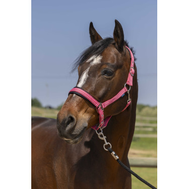 Capezza Norton 4lines Rosa antico Capezza Norton 4lines Rosa antico