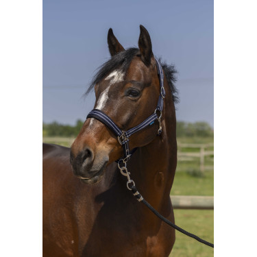 Capezza Norton 4lines Blu navy