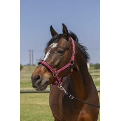 Capezza Norton 4lines Bordeaux Capezza Norton 4lines Bordeaux