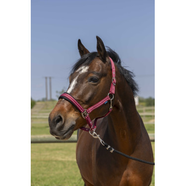 Capezza Norton 4lines Bordeaux Capezza Norton 4lines Bordeaux