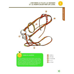 Galoppi 1 e 2 Nuova edizione Galoppi 1 e 2 Nuova edizione
