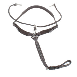 Martin collier Penelope Avana Marrone