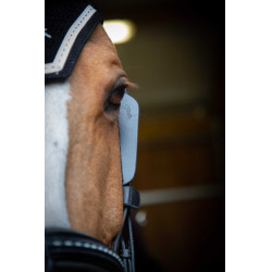 Paraschizzi australiani Pénélope Nero