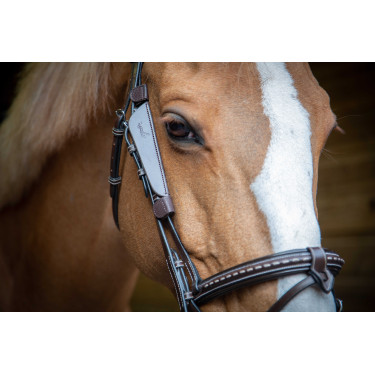 Paraschizzi australiani Pénélope Avana Marrone Paraschizzi australiani Pénélope Avana Marrone