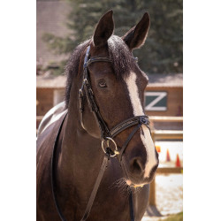 Bridon Pénélope Smoothie Nero Bridon Pénélope Smoothie Nero