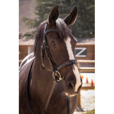 Bridon Pénélope Smoothie Nero Bridon Pénélope Smoothie Nero