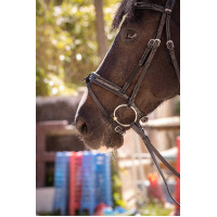 Bridon Pénélope Smoothie Avana Marrone