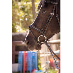 Bridon Pénélope Smoothie Nero Bridon Pénélope Smoothie Nero