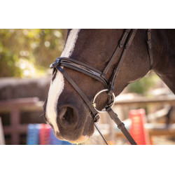 Bridon Pénélope Smoothie Nero Bridon Pénélope Smoothie Nero