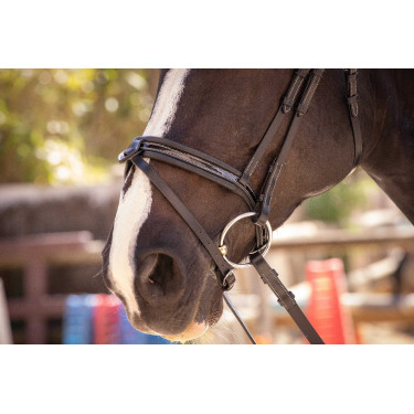 Bridon Pénélope Smoothie Nero Bridon Pénélope Smoothie Nero