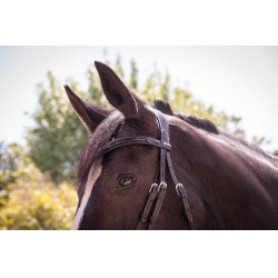 Bridon Pénélope Smoothie Nero Bridon Pénélope Smoothie Nero