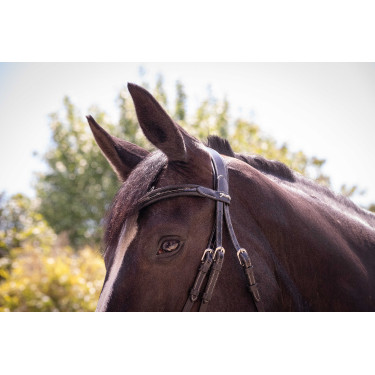 Bridon Pénélope Smoothie Nero Bridon Pénélope Smoothie Nero