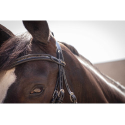 Bridon Pénélope Smoothie Nero Bridon Pénélope Smoothie Nero