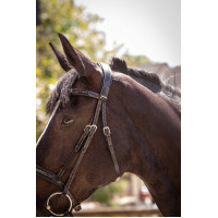 Bridon Pénélope Smoothie Avana Marrone