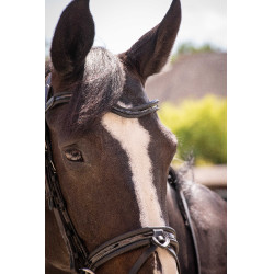 Bridon Pénélope Smoothie Nero Bridon Pénélope Smoothie Nero