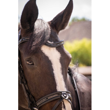 Bridon Pénélope Smoothie Nero Bridon Pénélope Smoothie Nero