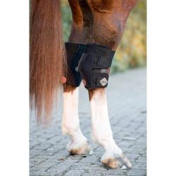 Paranocche LeMieux Conductive Magno Paranocche LeMieux Conductive Magno