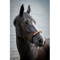 Capestro etologico Pénélope americano Nero