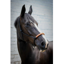 Capestro etologico Pénélope americano Nero