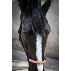 Capestro etologico Pénélope americano Nero