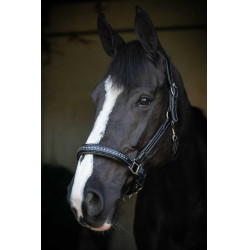 Capezzina in cuoio Pénélope Point Sellier Nero