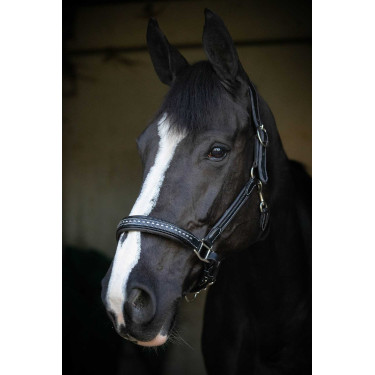 Capezzina in cuoio Pénélope Point Sellier Nero