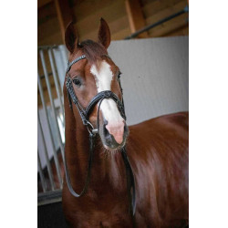 Bridon Pénélope Daily Nero