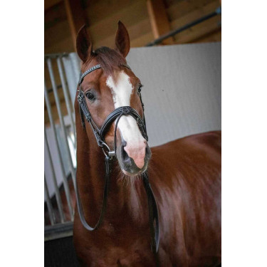 Bridon Pénélope Daily Nero Bridon Pénélope Daily Nero