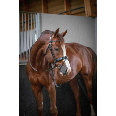 Bridon Pénélope Daily Nero Bridon Pénélope Daily Nero