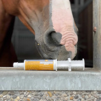 Alimento complementare LPC Red Booster Flash