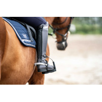 Sprenger FairRider platte sporen Argento