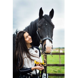 Leccornie Likit Stud Muffins