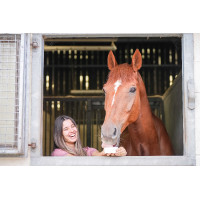 Pietra da leccare Little Likit