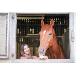 Pietra da leccare Little Likit Pietra da leccare Little Likit