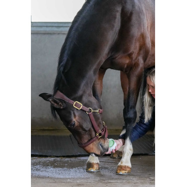 Pietra da leccare Little Likit Pietra da leccare Little Likit