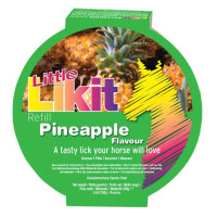 Pietra da leccare Little Likit