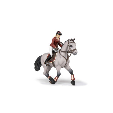 Cavallo da concorso e la sua cavallerizza Papo