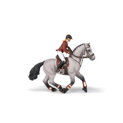 Cavallo da concorso e la sua cavallerizza Papo