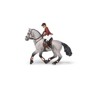 Cavallo da concorso e la sua cavallerizza Papo