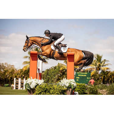 Guanti Racer® Tradition Nero Guanti Racer® Tradition Nero