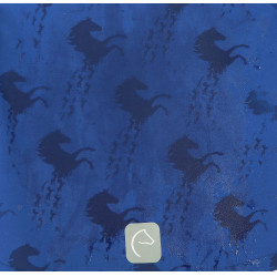Softshell Equi-Kids Amandine Blu navy