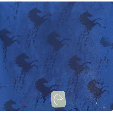 Softshell Equi-Kids Amandine Blu navy