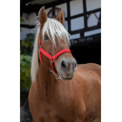 Capestro Norton Pro per cavallo da tiro Rosso