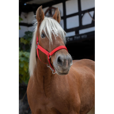 Capestro Norton Pro per cavallo da tiro Rosso
