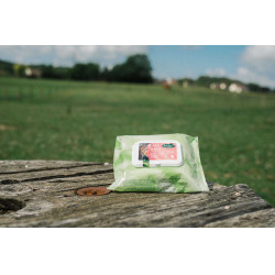 Easy Shine Wipe Ravene Salviette detergenti Easy Shine Wipe Ravene Salviette detergenti