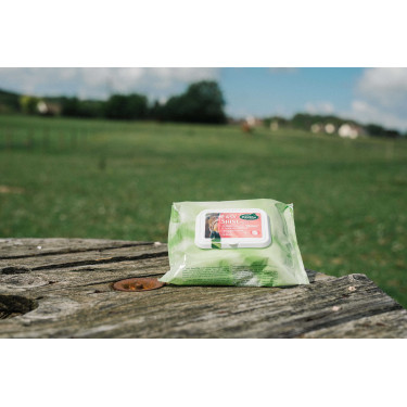 Easy Shine Wipe Ravene Salviette detergenti Easy Shine Wipe Ravene Salviette detergenti